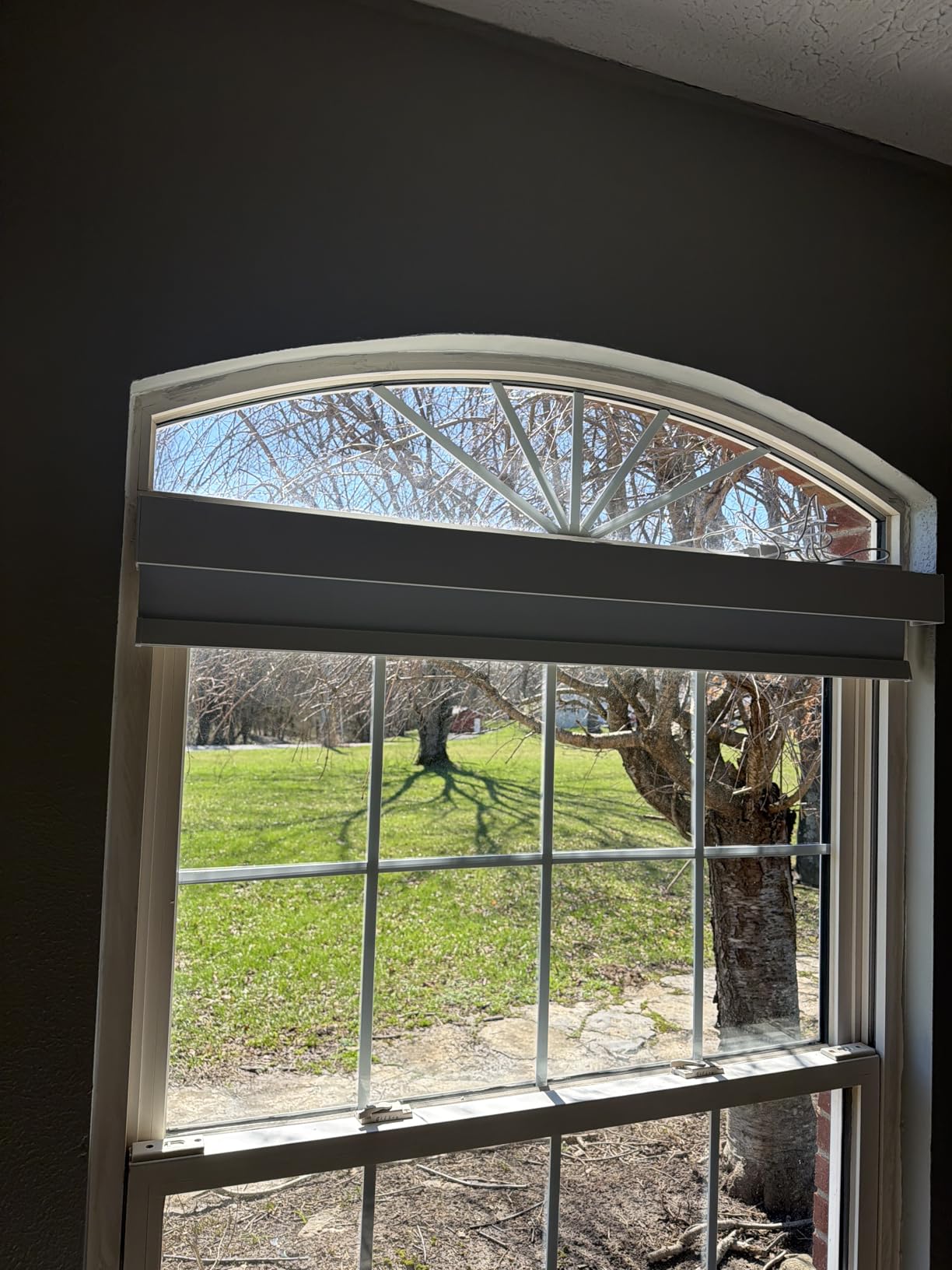 Smart Roller Shades for Windows, Alexa Blackout Motorized Blinds with Remote Control, Easy Install Automatic Electric Blinds for Indoor (23