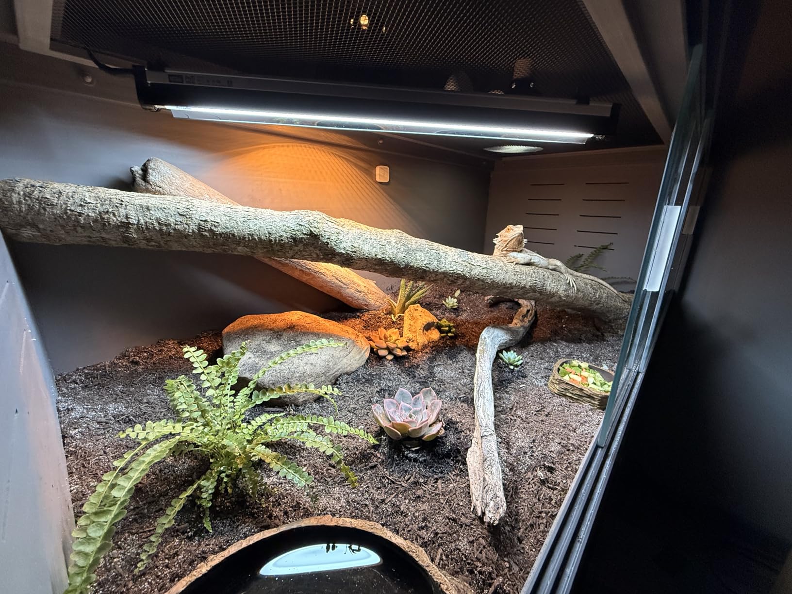 Arcadia T5 UVB Reptile Light Fixture Kit 22.5