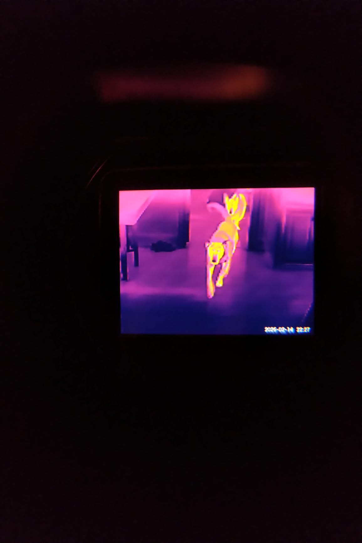 ATN BlazeSeeker-210 Thermal Imaging Monocular 256x192; 1.5-12x 12 Micron <35 NETD 50 Hz customer photo 1