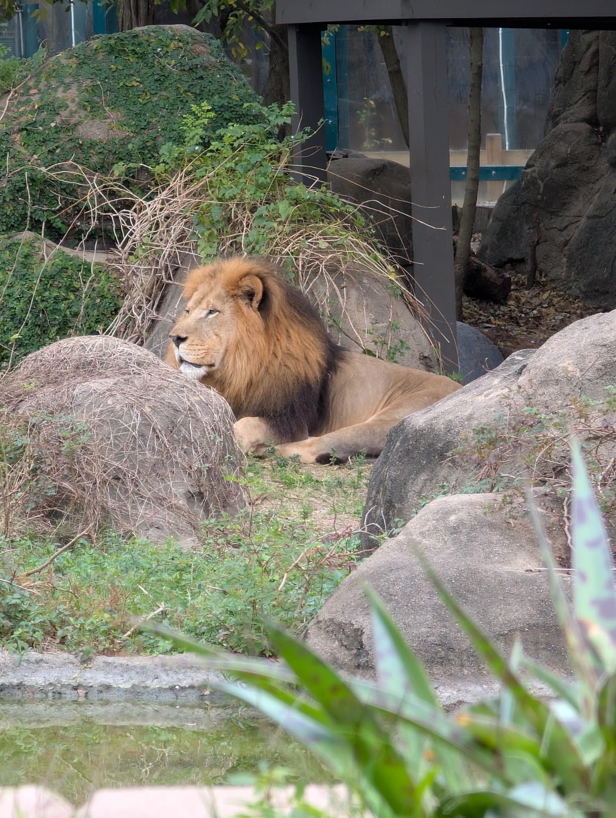 Pixel 9 Pro - Unlocked Android Smartphone with Gemini, Triple Rear Camera System, 24-Hour Battery, and 6.3