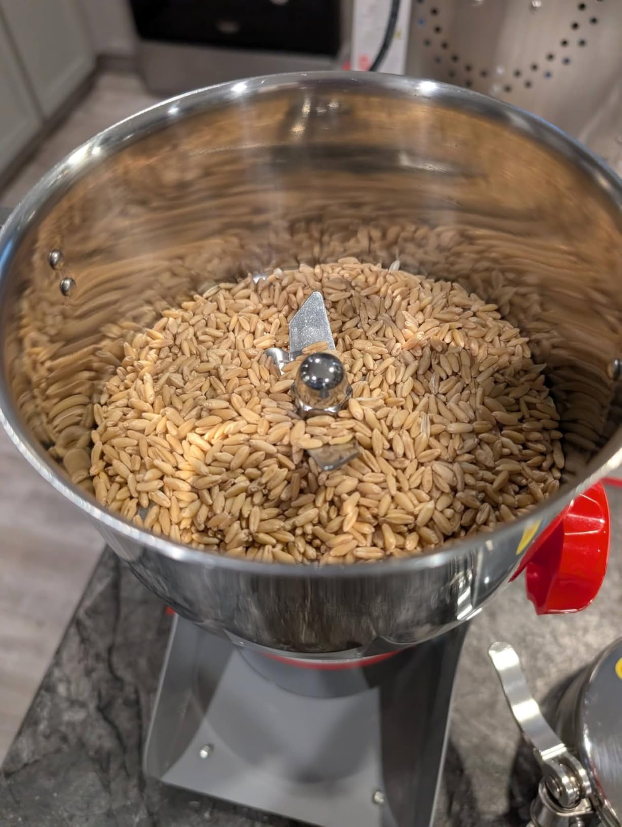 Electric Grain Mill Grinder, 800g Stainless Steel Grain Mill, 3000W High Speed Commercial Grinder Machine, Pulverizer Spice Herb for Dry Grains Cereals Coffee Corn Pepper, Swing Type customer photo 2