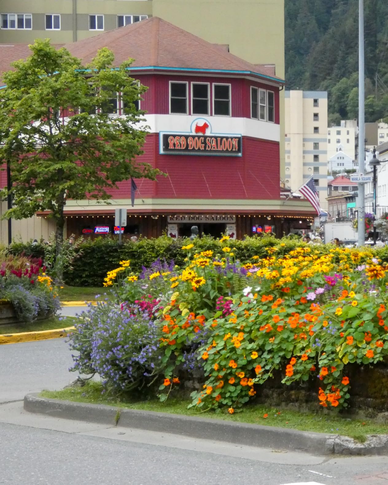 Panasonic LUMIX FZ80D Point and Shoot Digital Camera 4K Photo/Video Recording with Power Optical Image Stabilizer, Vlogging Camera with 60X Optical Zoom & 20-1200mm Wide-Angle Lens customer photo 1