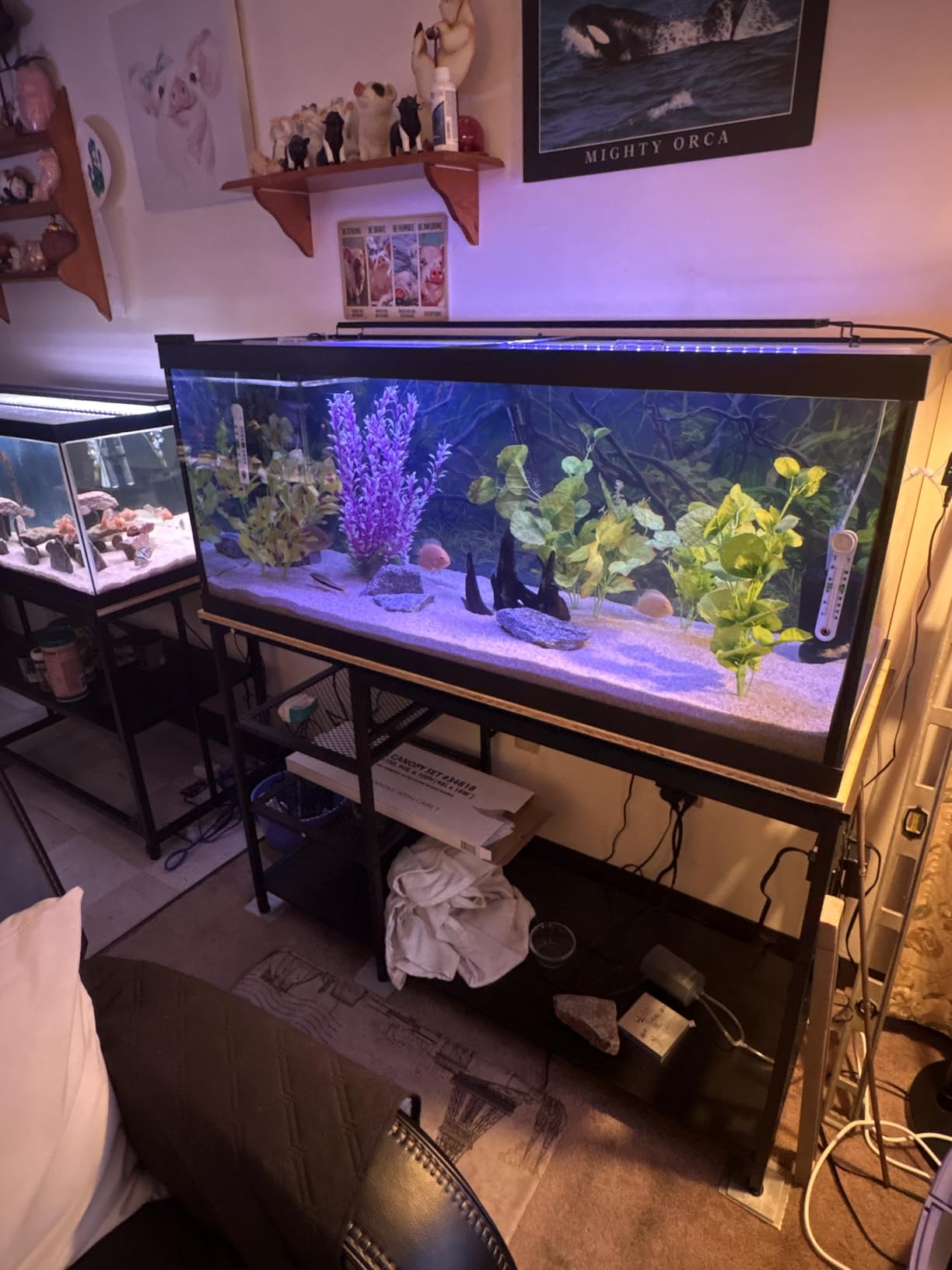 55-75 Gallon Fish Tank Stand: Heavy Duty Aquarium Stand with Power Outlets and Cabinet for Fish Tank Accessories Storage - Metal Frame, 1200LBS Capacity, Suitable for Fish & Reptile Terrariums customer photo 1