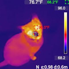 MILESEEY TR10 Thermal Imaging Camera, Super Resolution 192 x 192 Thermal Camera, 25 Hz Refresh Rate, -4°F to 1022°F Handheld Infrared Imager, 8-Hour Battery customer photo 2