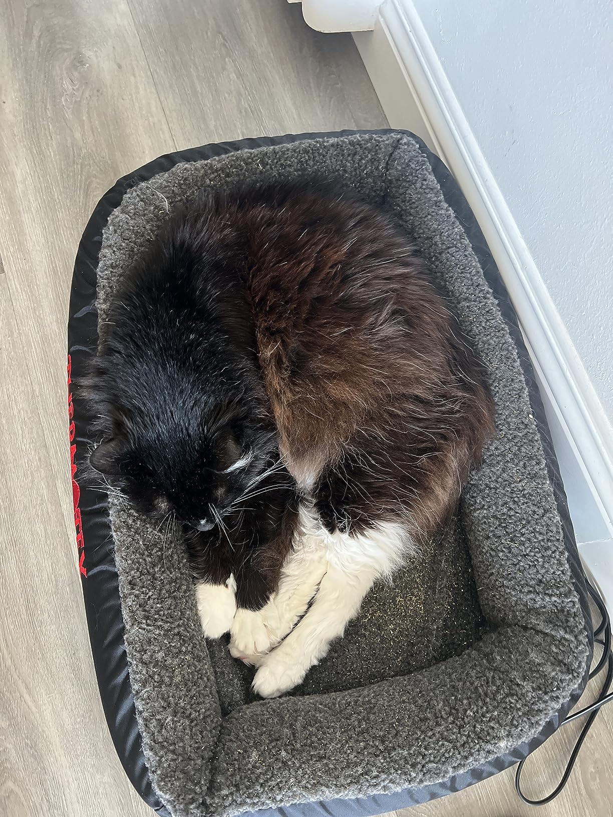 Thermotex Far Infrared Heated Pet Bed - Heated Cat & Dog Bed for Pain Relief & Arthritis - Therapeutic Heat Pad for Elderly Pet Support & Relaxation - Machine Washable customer photo 1