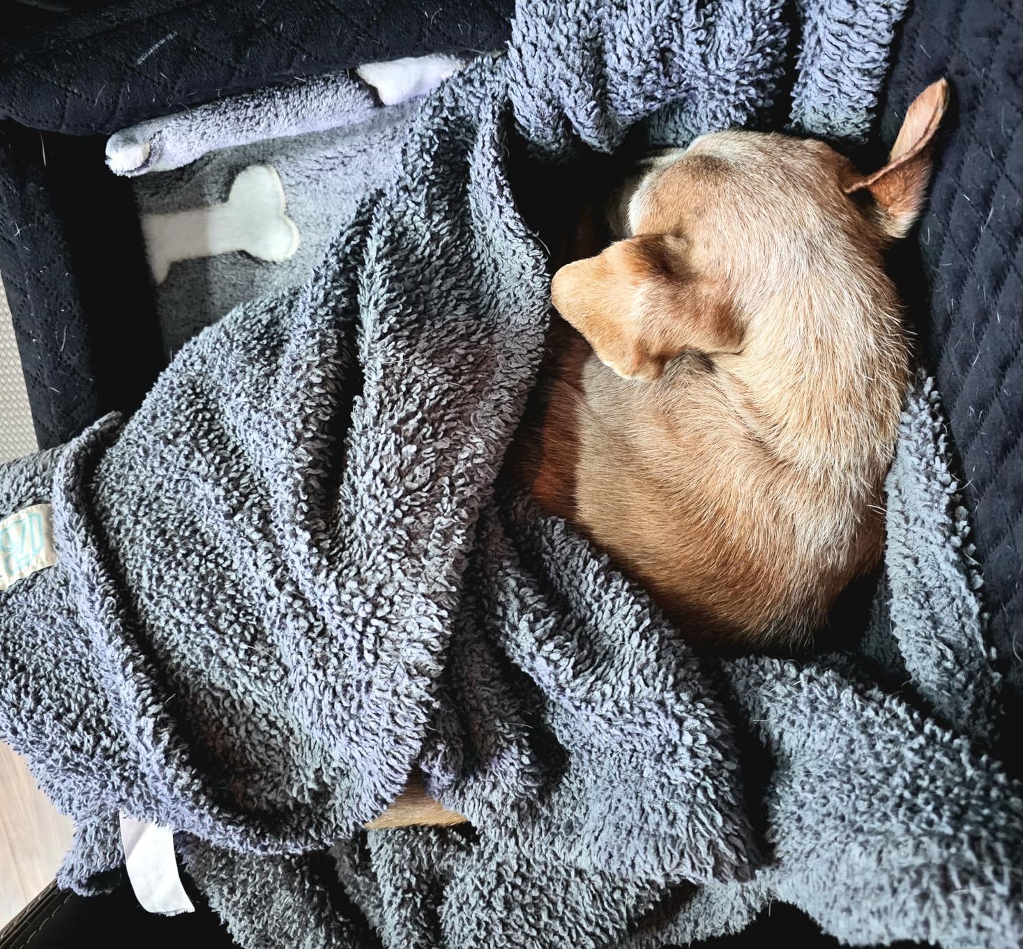 Bestio Large Dog Heating Pad,34x21 in Heated Dog Bed with Constant Heat & Auto Modes,MET&UL Certified Pet Heating Pad with Soothing Warmth,Chew-Resistant Cord,Waterproof Washable Cover-Gray customer photo 2