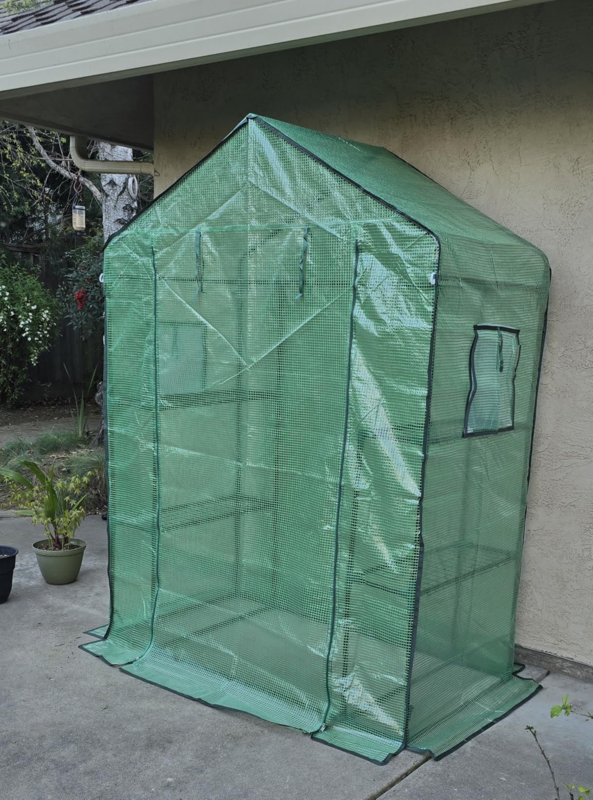 Greengro Greenhouse, 28 x 57 x 76'' Greenhouses for Outdoors, Small Plant Green House with Screen Windows, 3 Tiers 4 Shelves, Durable PE Cover, Plastic Portable Walk in Greenhouses for Outside Indoor customer photo 1