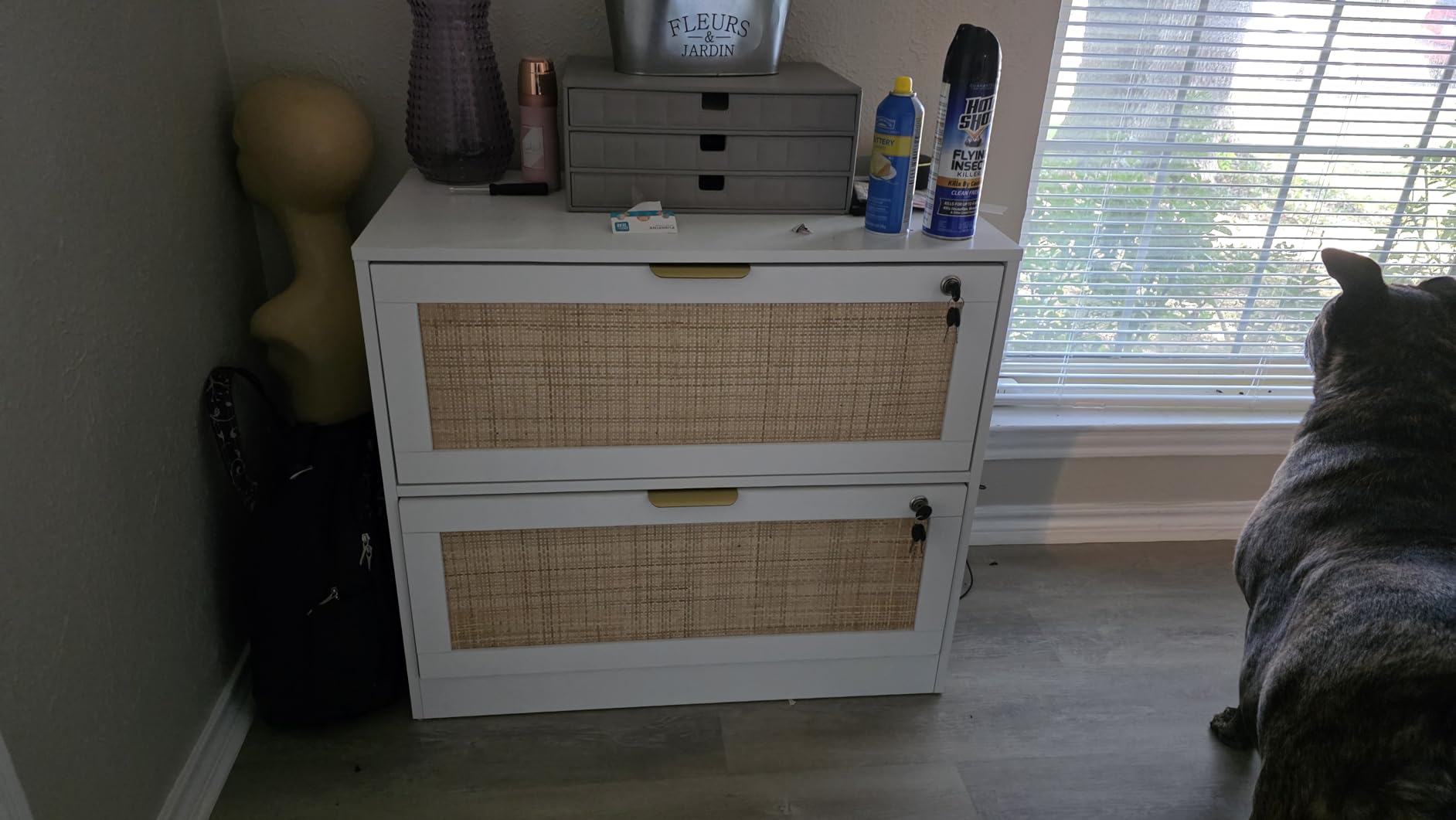 HOPUBUY 2 Drawer File Cabinet with Lock, Printer Stand Lateral Filing Cabinets for Home Office and School, Wood Rattan File Cabinet for Hanging Files/Letter/Legal/A4/F4 Size, Natural Wood customer photo 1