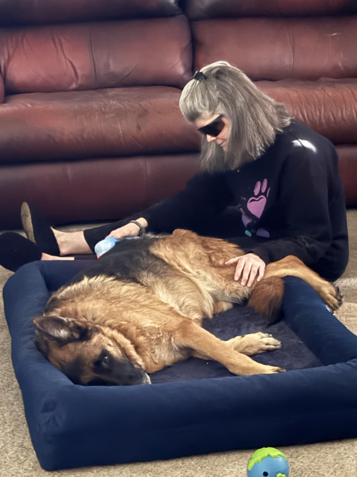 LLLT Cold Laser Therapy Device with Protective Magnetic Cover, 5 * 808nm & 10 * 650nm Human/Vet Handheld Infrared Red Light Therapy, Pet Dogs Treatment Device for Muscle Pain Relief & Improve Healing customer photo 1