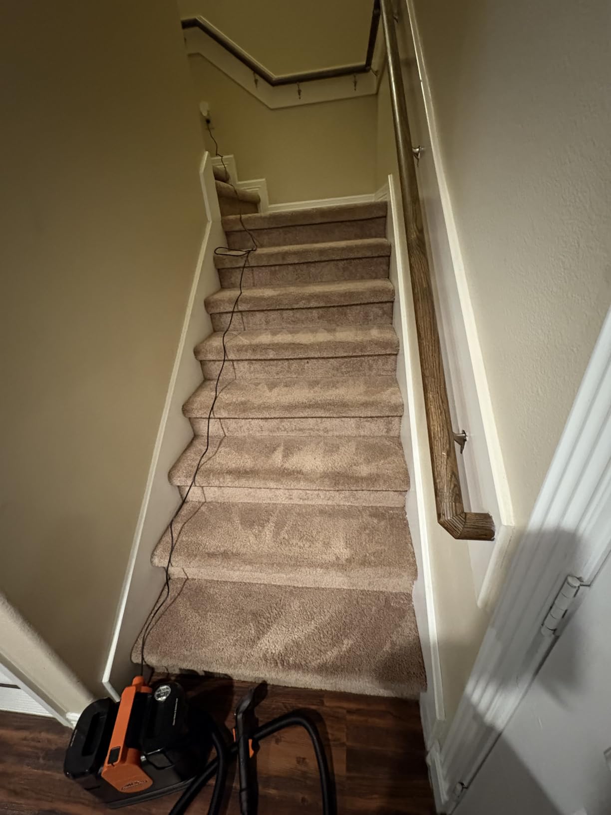 Armor All SCA702 901 7 Amp Portable Spot Cleaner for Car Cleaning, Carpet and Upholstery Stain Removal customer photo 1