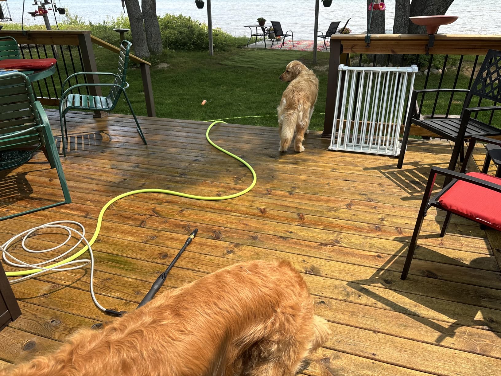 Greenworks 1900 PSI (SGS Certified) 1.2 GPM 13Amp Portable Compact Electric Pressure Washer customer photo 1