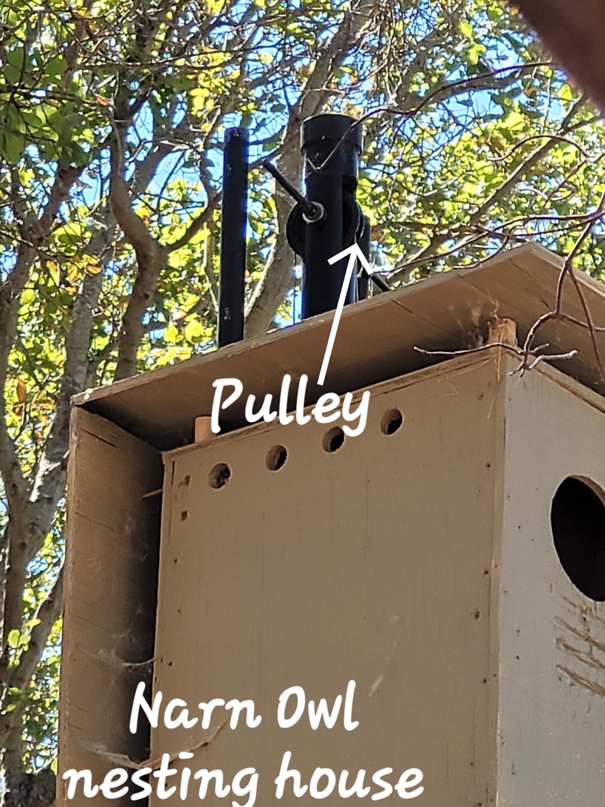 WIWACAM WiFi Bird Box Camera, 4K HD Snapshot 2K Video, Designed for Birdhouse birdhouses, for Robins Wrens Tree Swallows, Live Video to Phone, Easy Install, Night Mode, microSD Card Slot customer photo 2