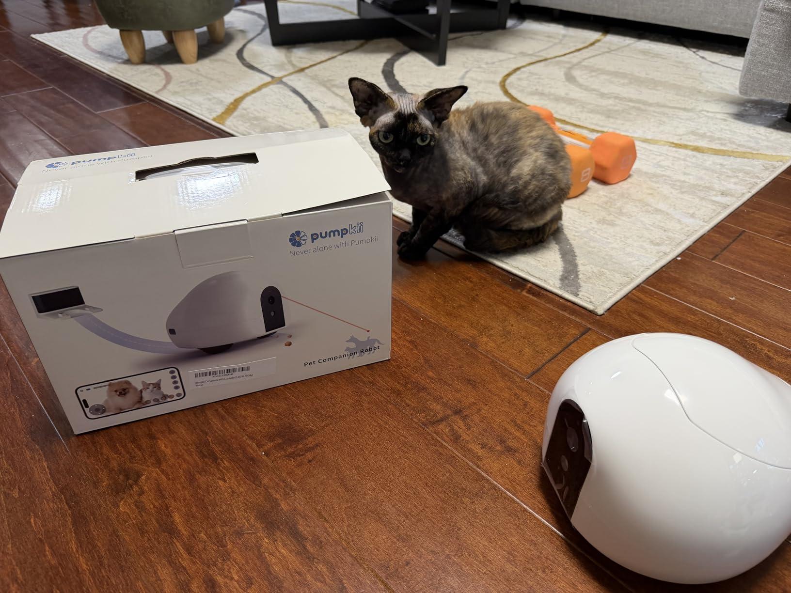 Cat Camera with Interactive Pointer Toy, Moving Robot for Dog and Cat, Mobile Pet Camera Treat Dispenser with Phone App, Auto Recharging and Night Vision, Two-Way Audio customer photo 1