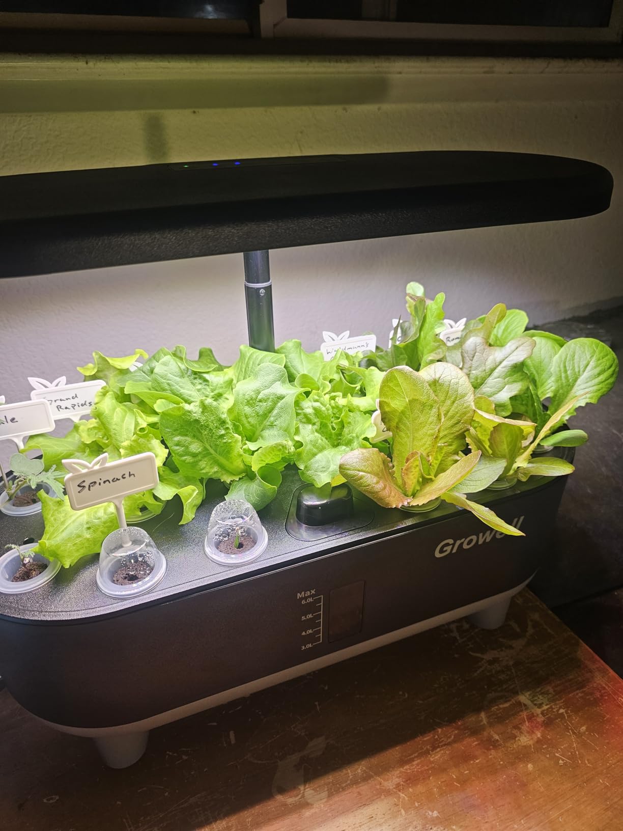 Hydroponics Growing System Kit, 16 Pods Indoor Garden with 28W Full Spectrum LED Grow Light, Auto Timer, 8L Large Herb Garden customer photo 2