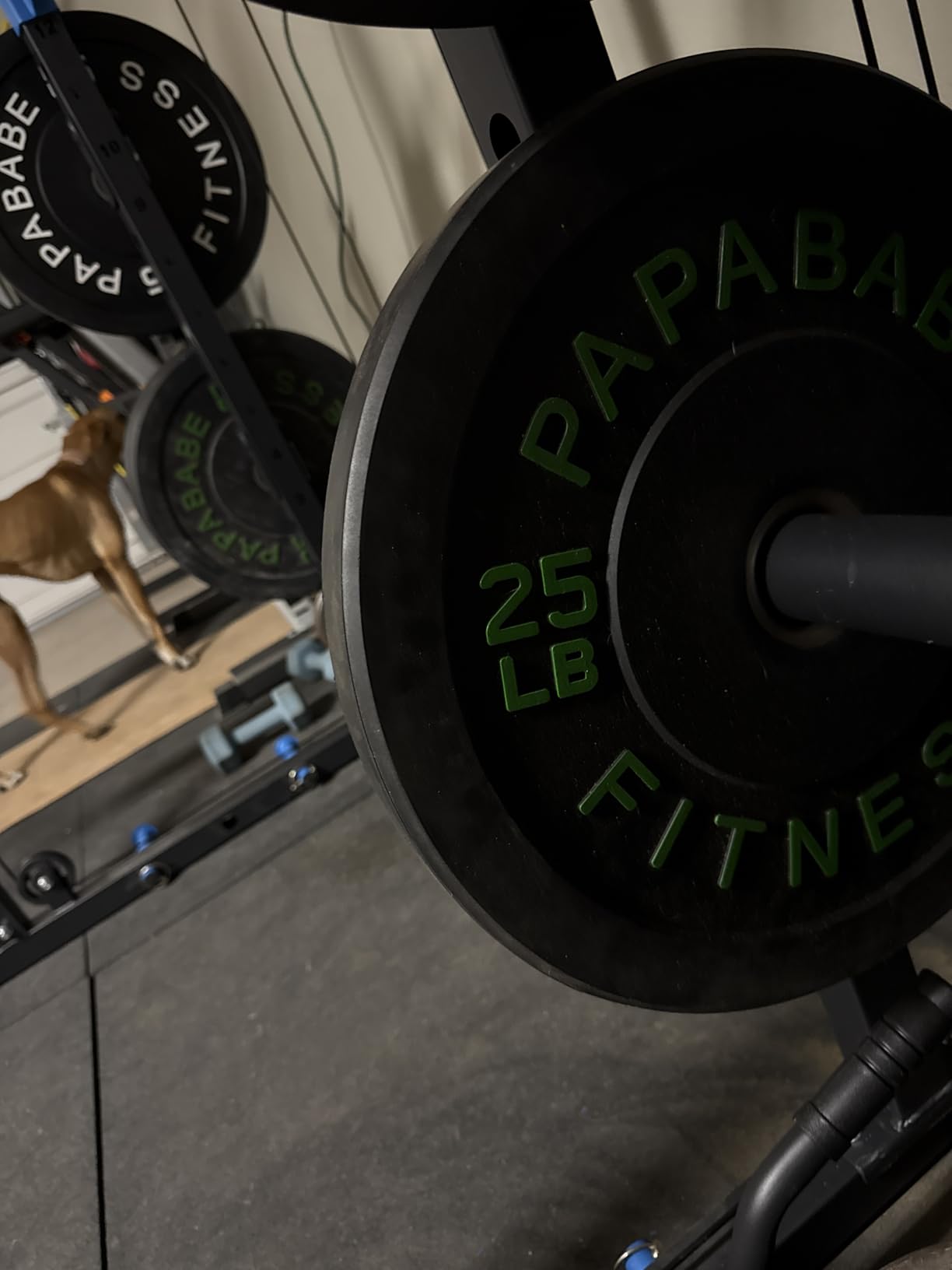 Papababe Weight Plates, 2-Inch Weights Plates Set, Floor Protective Rubber Weight Plates, 10-600lbs Bumper Plates for Barbell Strength Training & Weightlifting customer photo 1