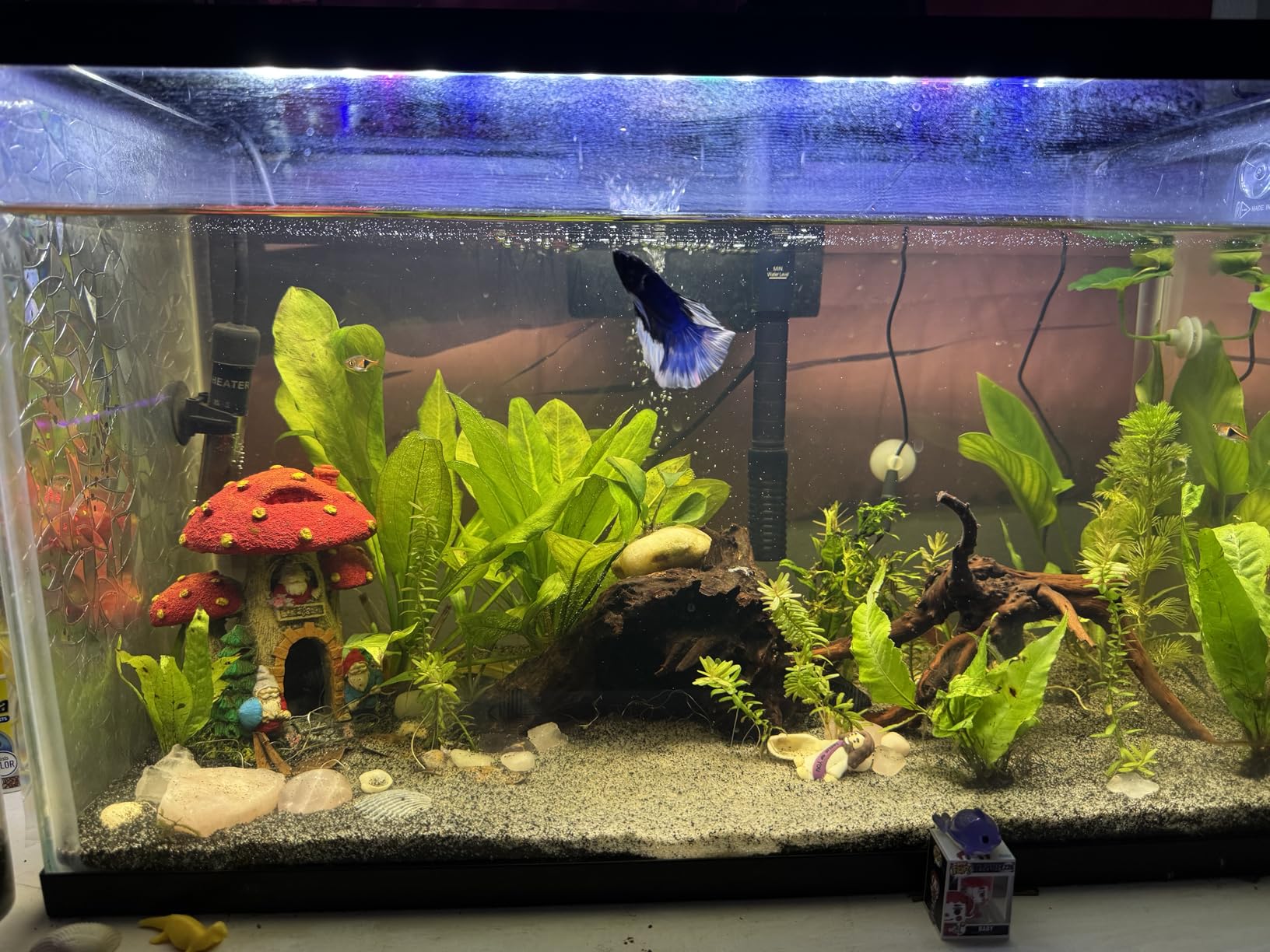 hygger Aquarium HOB Filter 105 GPH for 10-20 Gallon Fish Tank Power Filter with Adjustable Water Flow Extendable Intake Tube External Hang-On Back customer photo 1