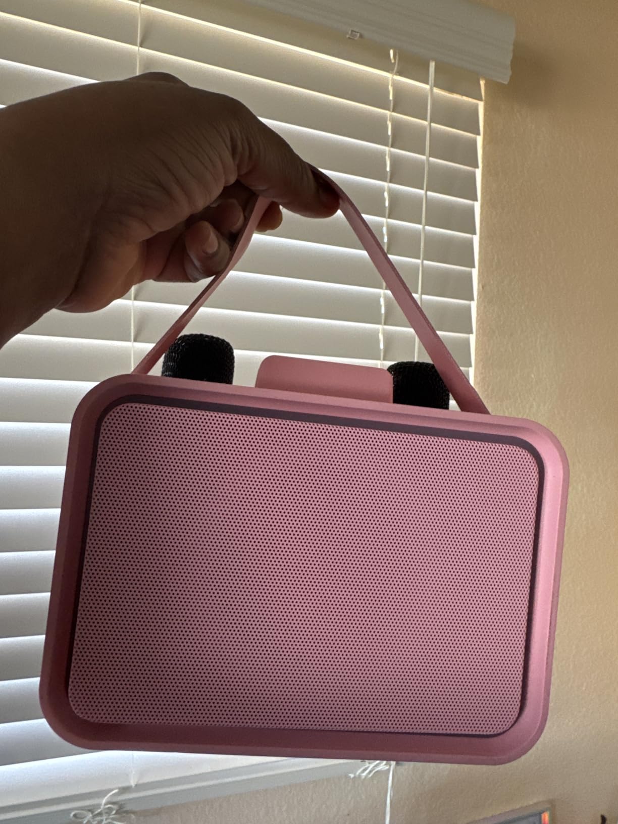 Karaoke Machine, Portable Bluetooth Speaker with 2 Wireless Microphone for Adults & Kids with LED Lights, Karaoke Microphone with PA System Supports USB/TF/AUX, Gift for Party (Black) customer photo 2