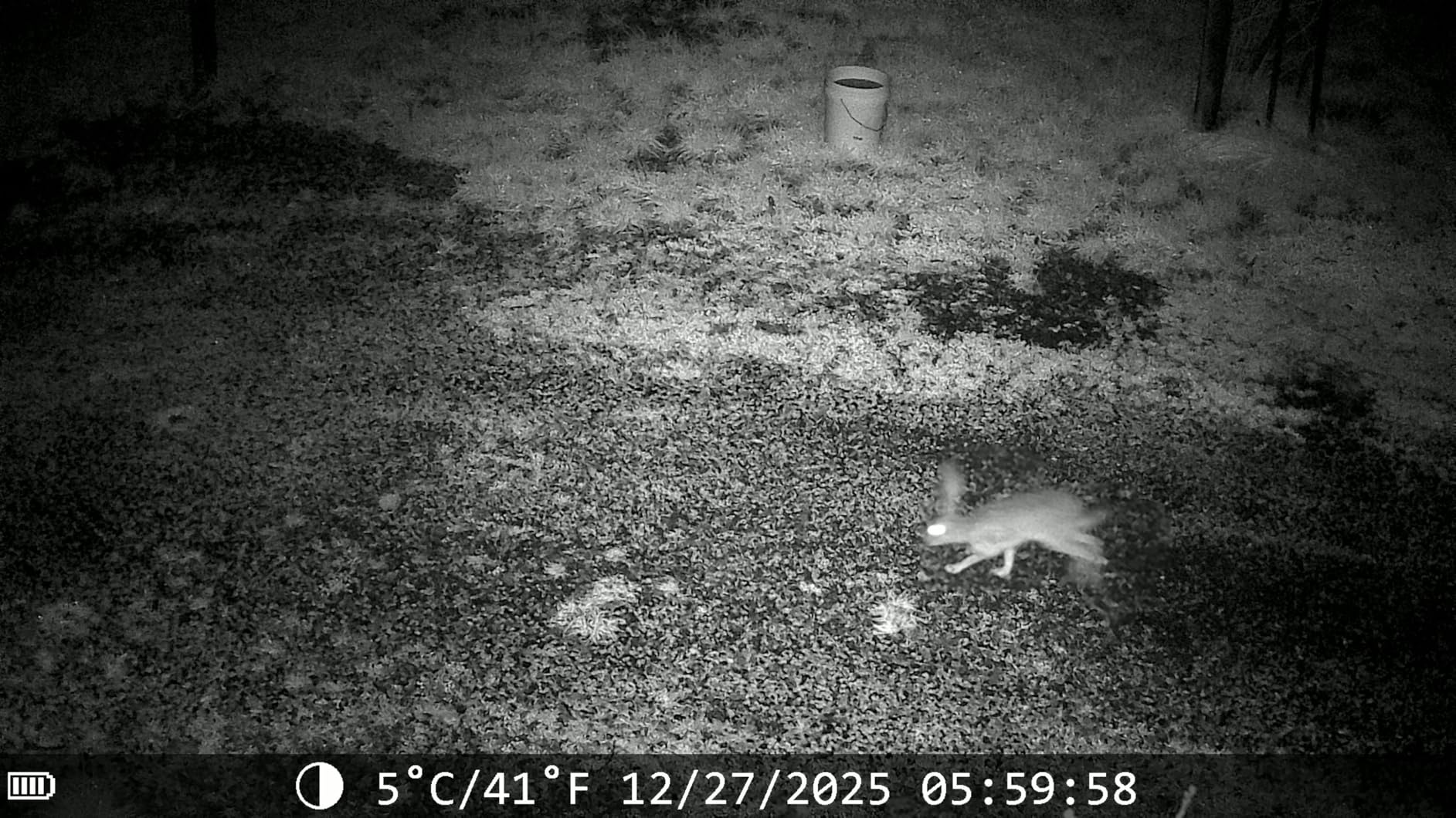 MAXDONE Solar Trail Camera WiFi Bluetooth - 64MP 4K Game Camera with 5200mAh Rechargeable Battery, 0.1s Trigger 65ft Night Vision, IP66 Waterproof customer photo 1