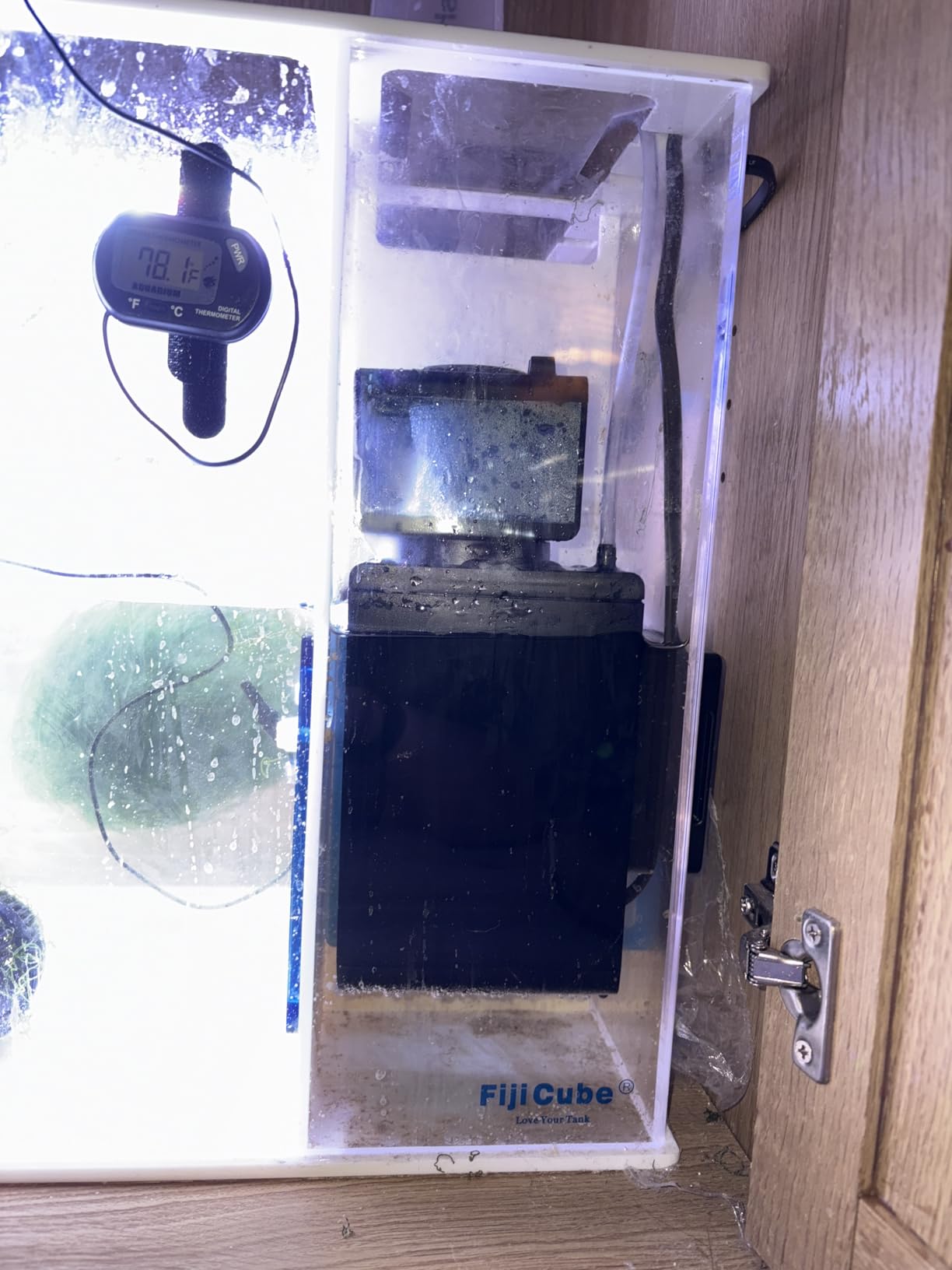 Sicce Shark Nano Protein Skimmer 300 up to 80 Gallon Saltwater Aquariums | Ultra Quiet Pump, Adjustable, Compact, Small Aquarium Marine Reef Tank customer photo 1