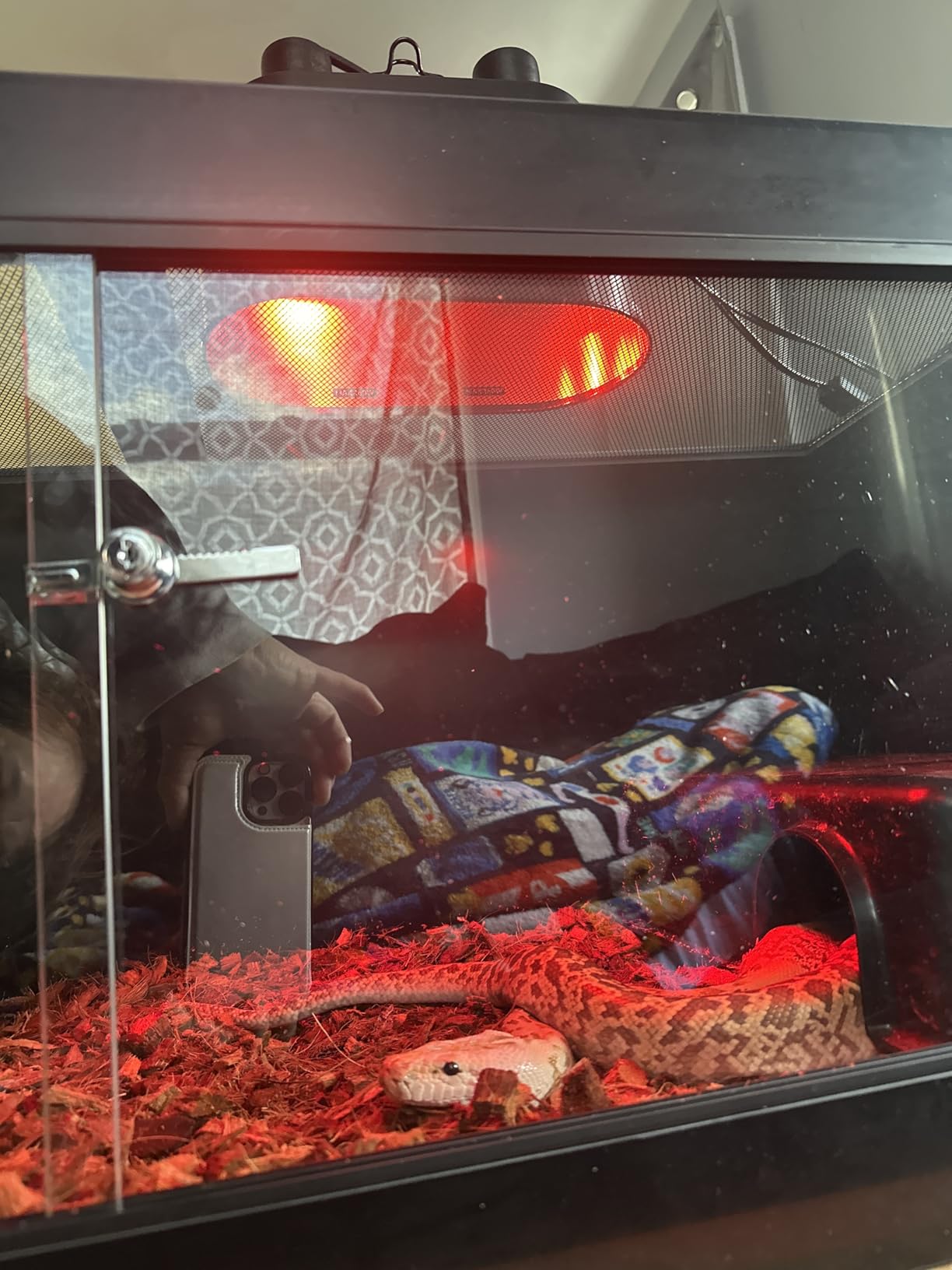 Dual Reptile Light Fixture with Switches, Reptile Heat Lamp Fixture, Reptiles Terrarium UVB Bulb Fixture for Bearded Dragon, Max 160W Each (Bulb Not Included) customer photo 2