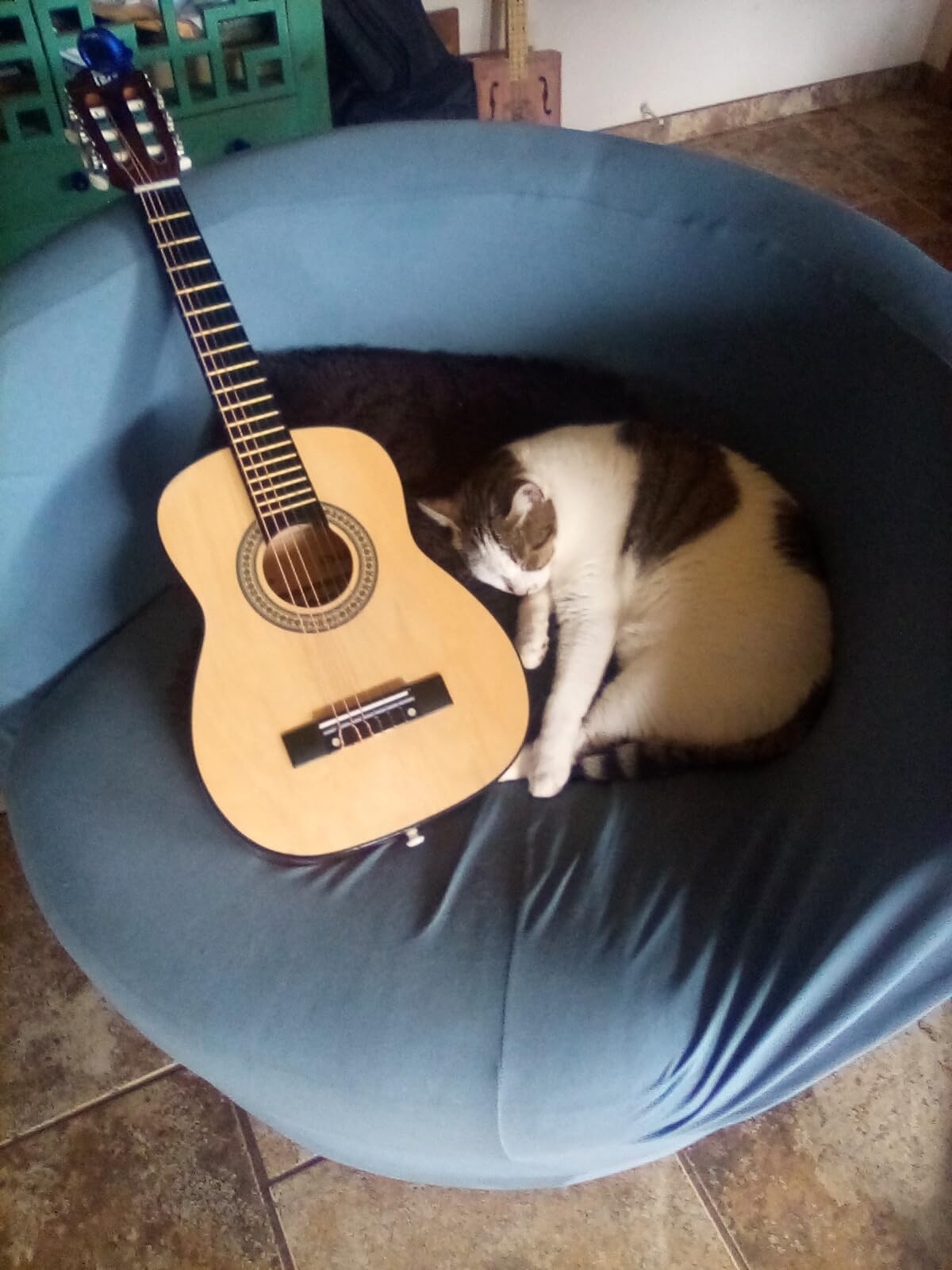 Pyle Beginner Acoustic Guitar Kit, 1/2 Junior Size All Wood Build Nylon String Instrument with Capo, Strap, Extra String Set, Gig Bag, Guitars for Beginners Adults Youth, 34