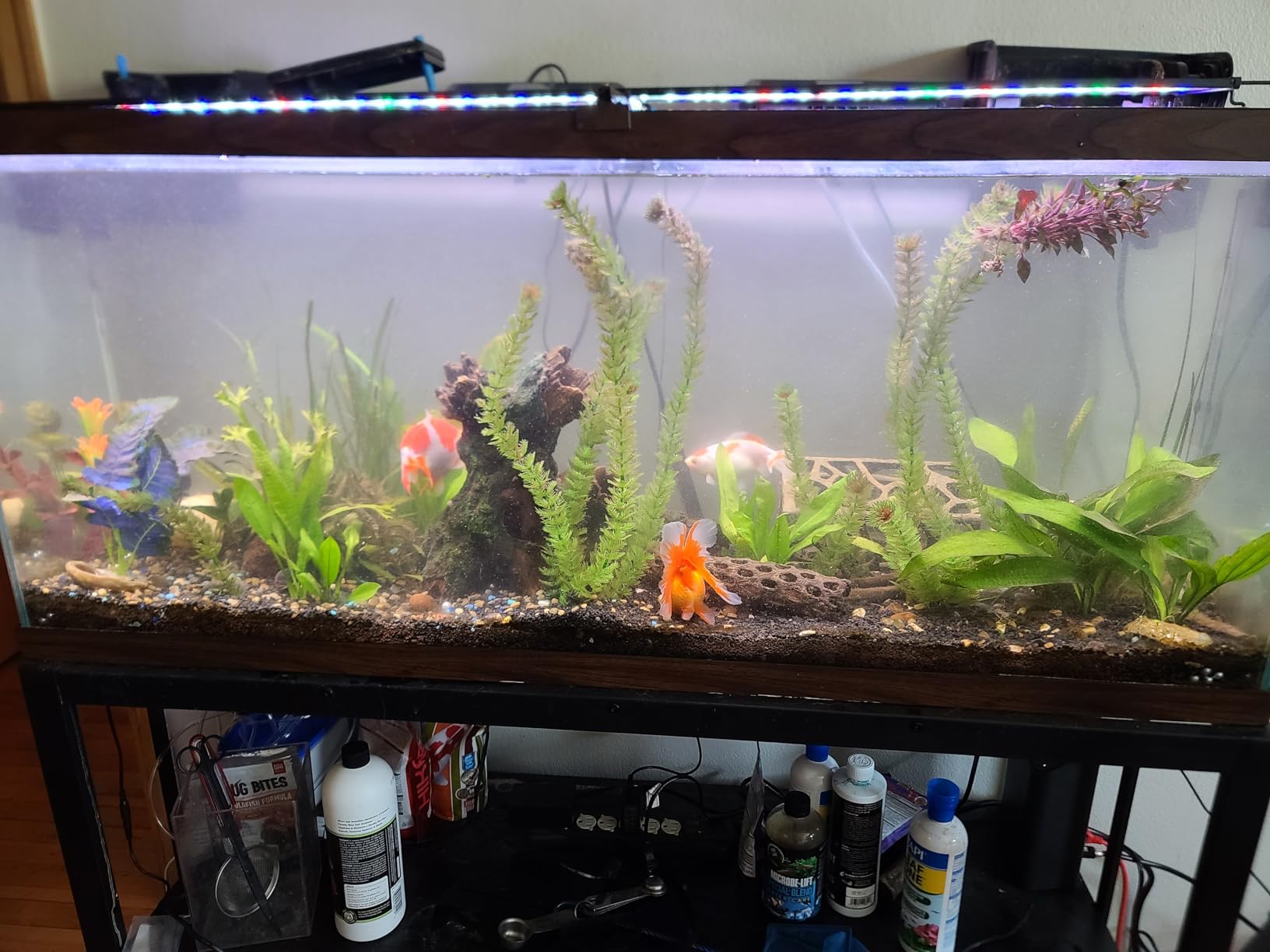 PAIZOO Aquarium Chiller Fan, Ultra-Quiet Fish Tank Cooling Fans, 3 Speed Modes Aquarium Cooler, Water Chiller for Axolotl Tank Accessories Freshwater Saltwater Tanks, 6.4W customer photo 2