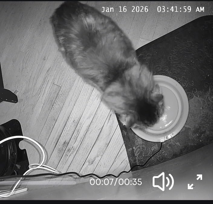 eufy Security 4K Indoor Camera E30-No Subscription,Work as Pet Camera,Nanny/Baby Monitor,360° Pan&Tilt,AI Auto Tracking,AI Detection,24/7 Recording,Color Night Vision,Two-Way Audio,Works with HomeKit customer photo 2