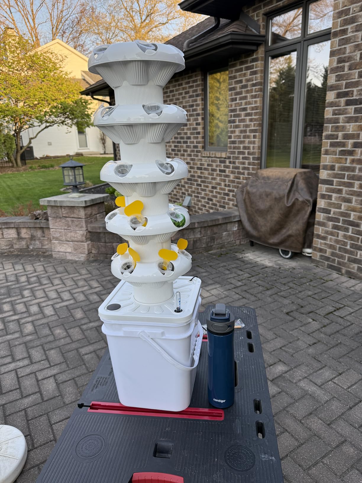 SJZX Hydroponics Growing System Kit, 5-Layer Hydroponic Tower, 30 Planting Holes, Space-Saving Vertical Gardening System, Suitable for Both Indoor and Outdoor use Germination Kits customer photo 2