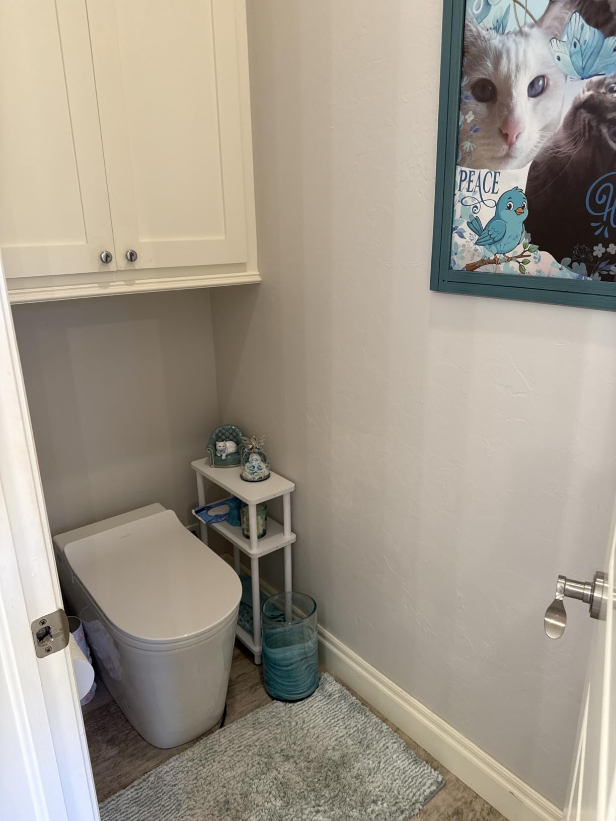 Leap One-Piece Elongated Smart Toilet with Bidet Built In, Dual-Flush, Quiet-Close customer photo 1