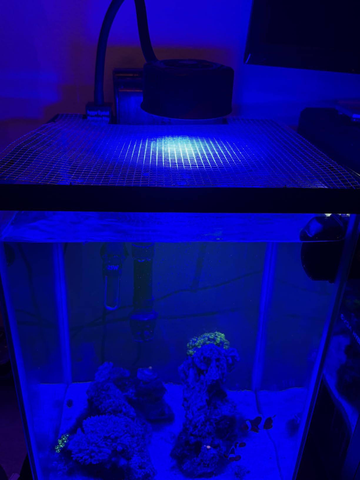 hygger 36W Saltwater Aquarium Light, Reef Light for Corals with Timer Adjustable Color and Brightness, Fish Tank Light with Controller for Marine Aquarium LED 16 to 20-Inch customer photo 2