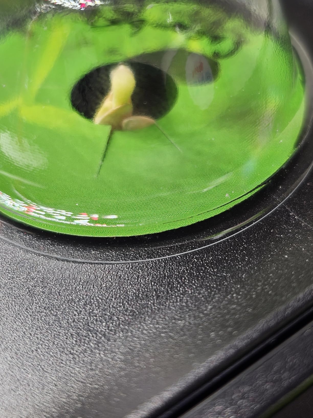 SUNCOZE Hydroponics Growing System Kit 12 Pods, 24W LED Grow Light Indoor Garden, 4L Water Tank with Quiet Pump, Adjustable Height Herb Garden Planter Indoor Kit, Gardening Gifts, Green customer photo 1