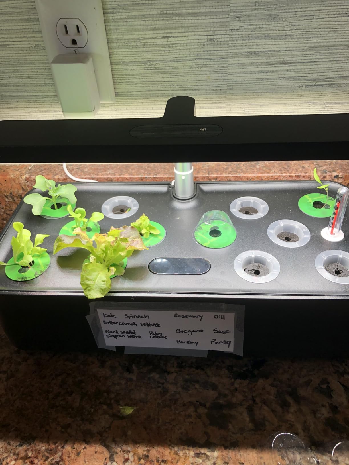 SUNCOZE Hydroponics Growing System Kit 12 Pods, 24W LED Grow Light Indoor Garden, 4L Water Tank with Quiet Pump, Adjustable Height Herb Garden Planter Indoor Kit, Gardening Gifts, Green customer photo 2