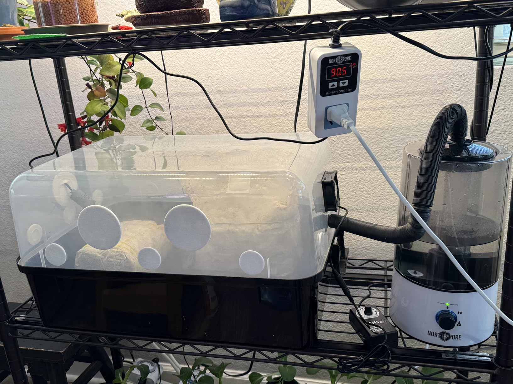 North Spore Automated 'Boomr Bin' Mushroom Monotub Kit customer photo 1