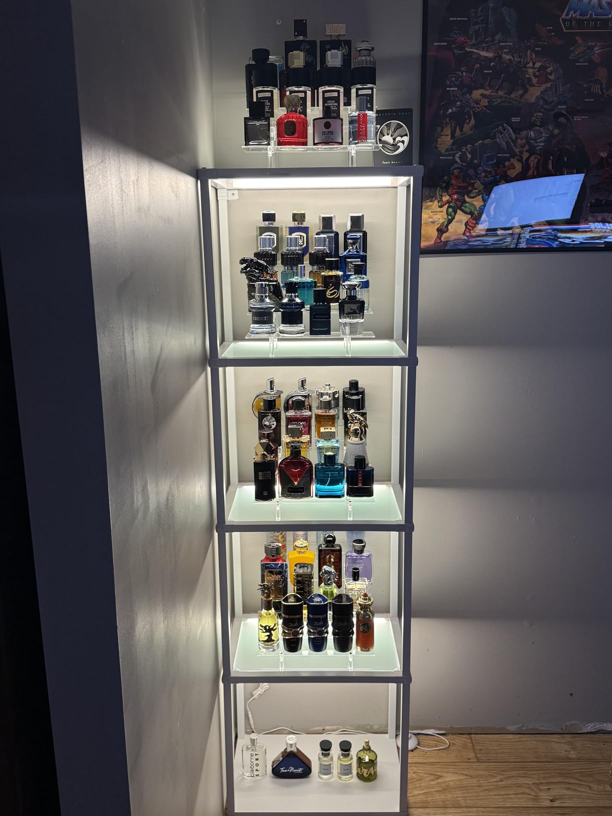 Tall Display Shelf Floor Lamp with Dimmable LED, 3 Color Temperatures, Sturdy Glass Curio Cabinet Bookcase with Remote Control customer photo 1