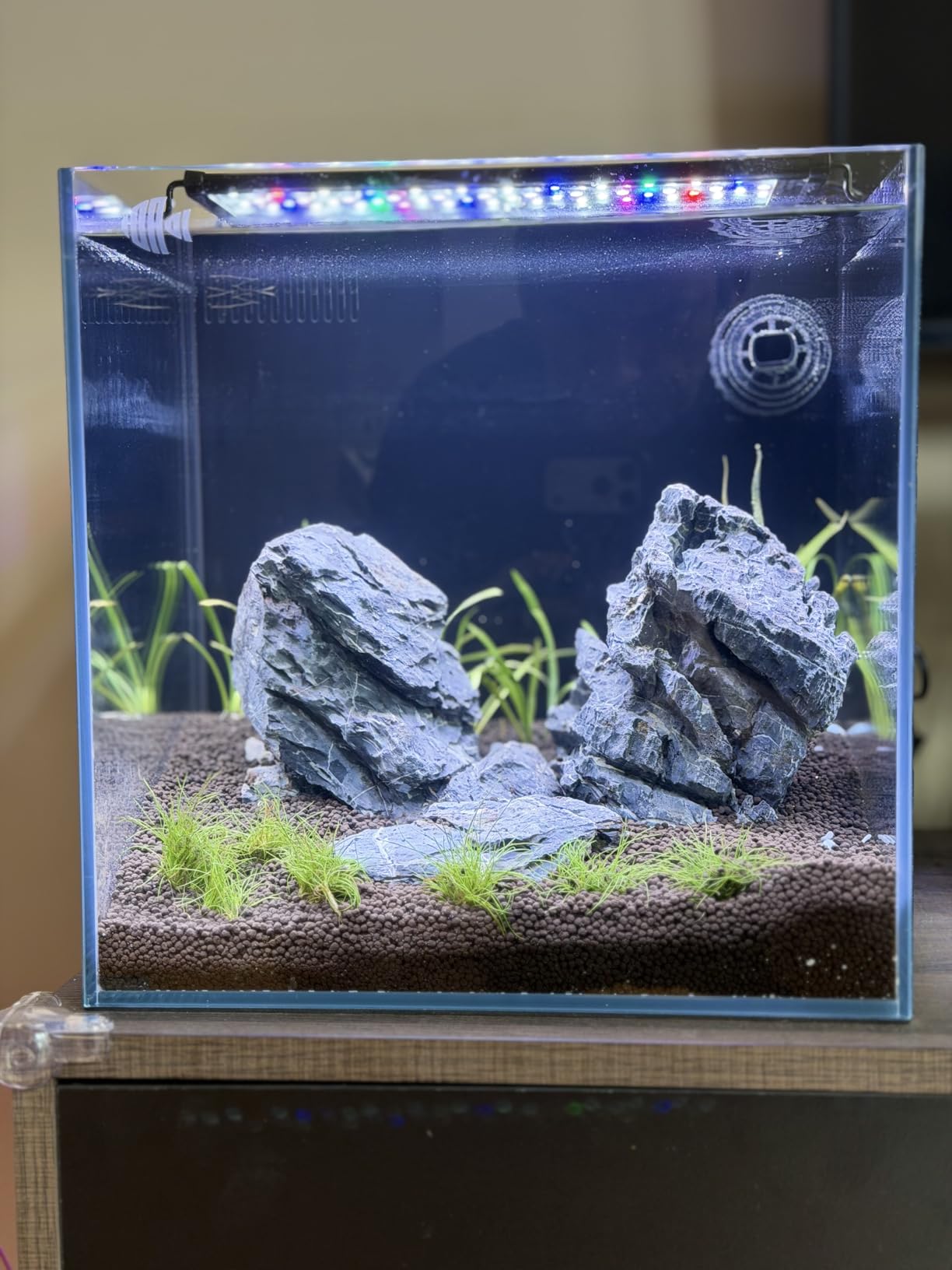 Coralland 8-Gallon Saltwater Aquarium - Ultra Clear Low Iron Glass, 45° Angled Joint Design, Crystal Clear Viewing, Perfect for Marine Fish & Reef Tanks & Freshwater customer photo 2