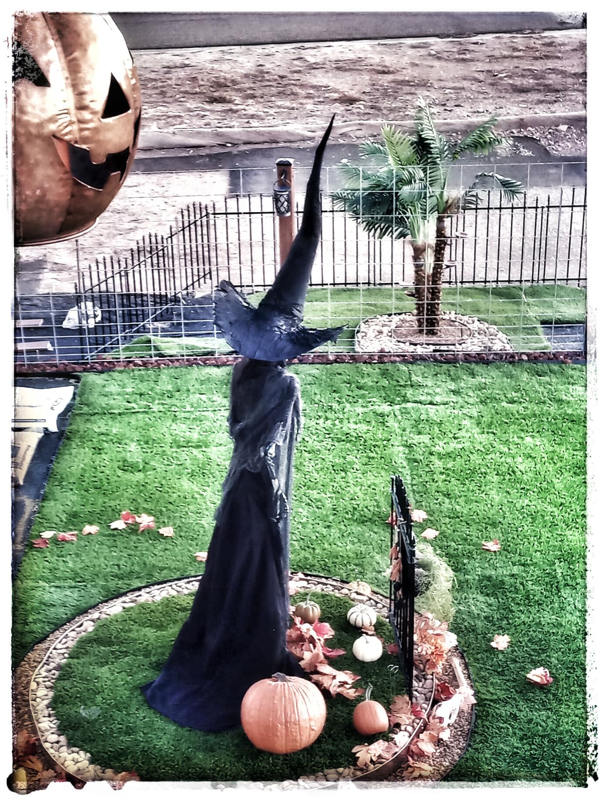 Metal Garden Fence with Gate 42 in H x 12 ft L, 1 Gate + 5 Panels Border Dog Fence Panels Animal Barrier, No Dig Garden Fencing for Yard Patio Flower Bed Lawn Outdoor, Arch Black customer photo 2