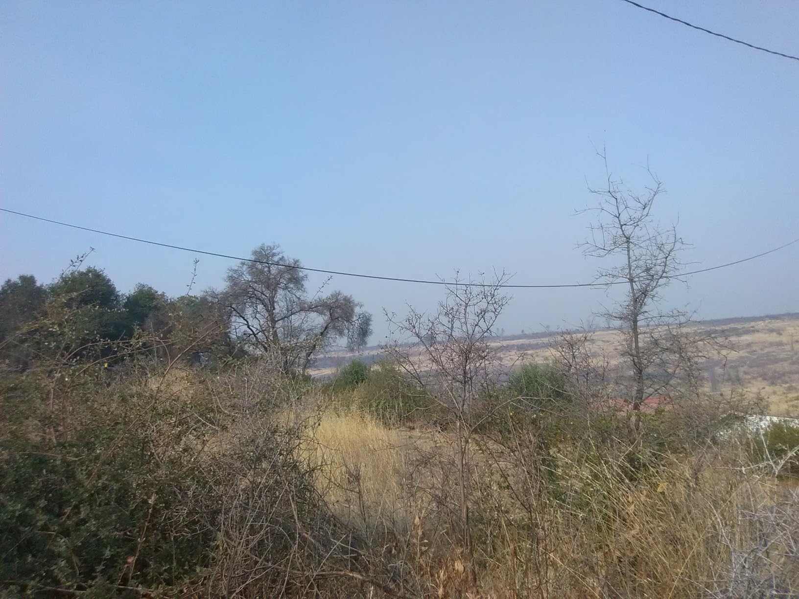 SOYUS Pole Hedge Trimmer Cordless, 18-inch Electric Hedge Trimmer with Extension Pole, 16-Foot Max Reach, Multi-Angle, 2x 2.0Ah Batteries and Charger Included customer photo 1