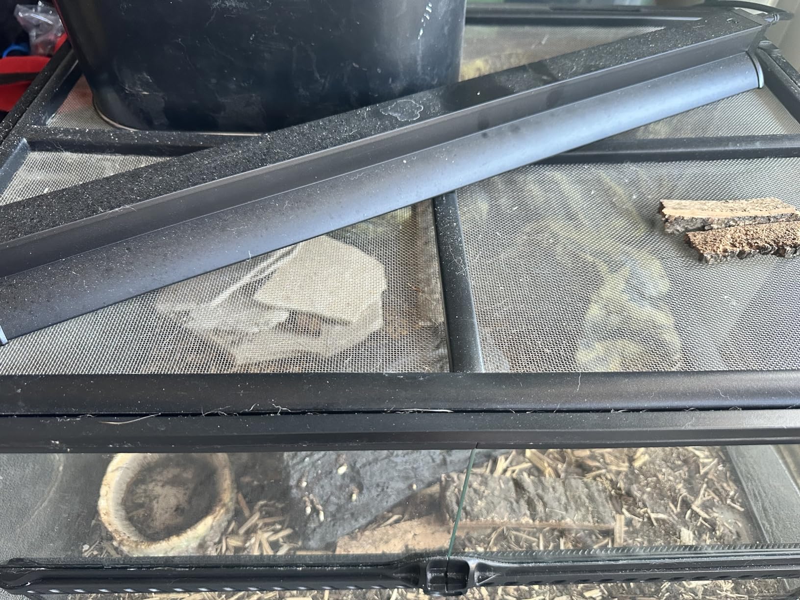 Upgraded T5 UVB Reptile Light, 10.0 UVB 24W German Made Fluorescent Lamp and Fixture Kit, for Desert-Dwelling Reptiles, Bearded Dragon UVB Lamp Bulb customer photo 1