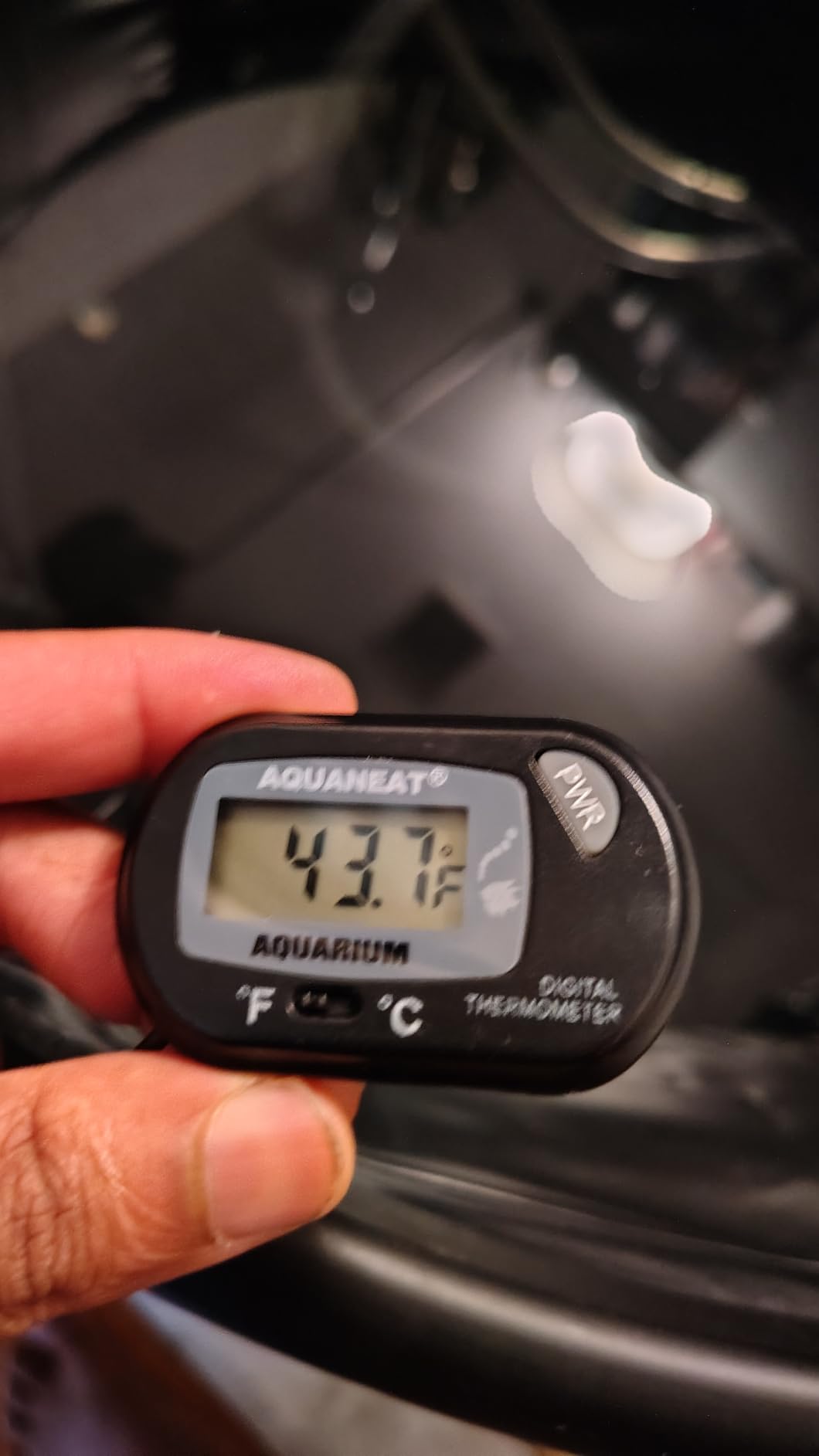 Aquarium Chiller 79 Gal, 1/3 HP Water Chiller Machine, Hydroponic Cooling System, Fish Tank Chiller with Upgraded LED display, for Axolotl Jellyfish customer photo 1