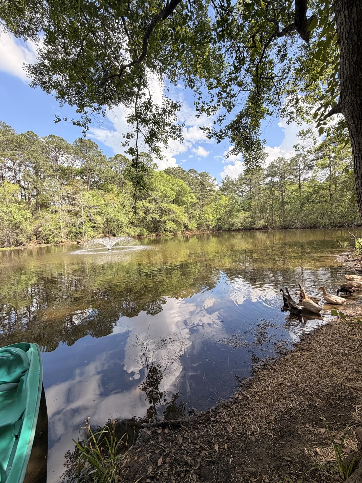 15000 GPH Pond Fountain Aerator - Fully Automatic 110V, 750W (1HP) Floating Pumps and Pond Aerator for Large and Small Outdoor Ponds and Lakes - Fountain aerator with 100Ft Power Cord (Silver) customer photo 2