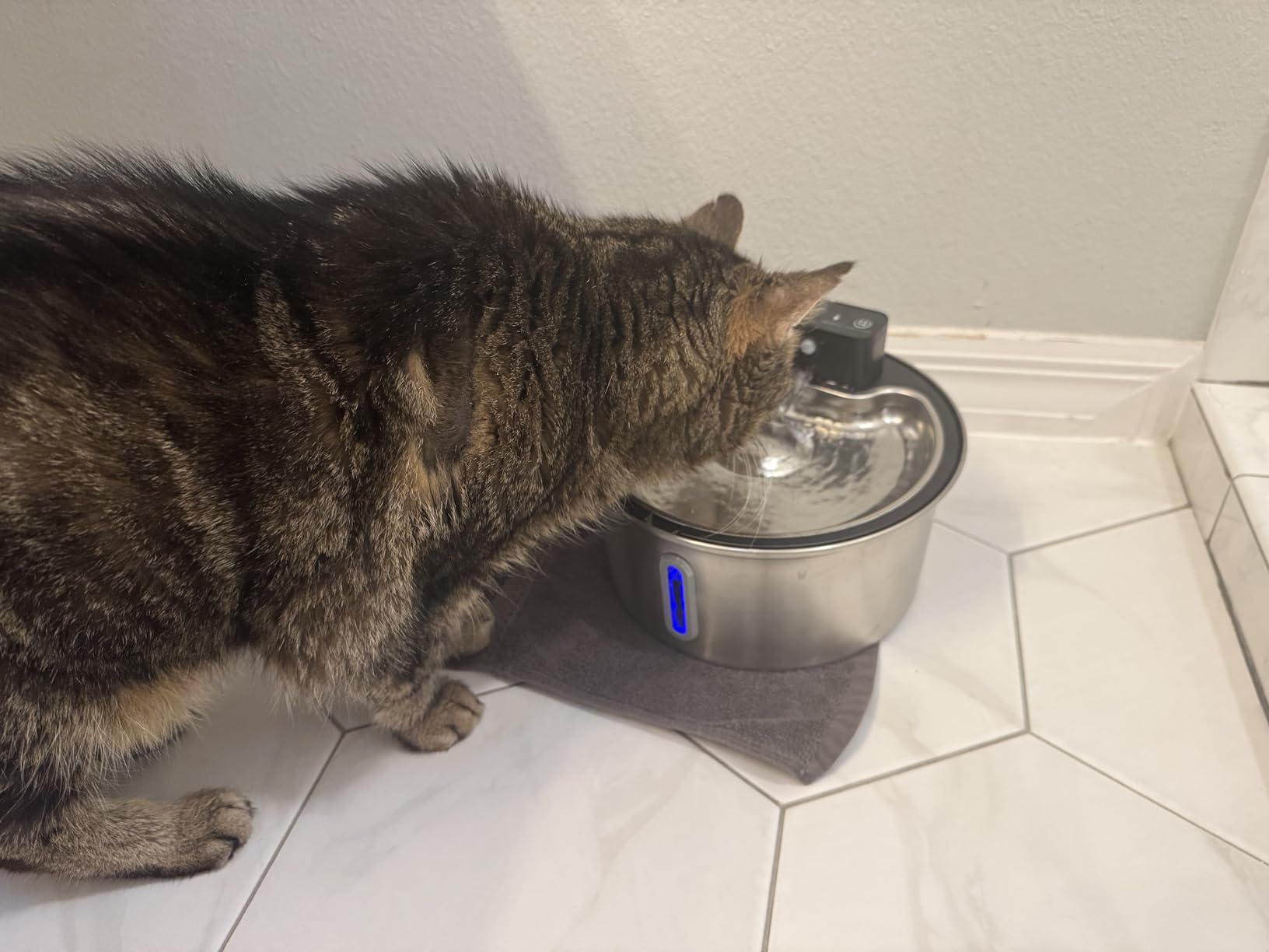 Wireless Cat Water Fountain Stainless Steel - 3.2L/108oz Cordless Pet Water Fountain Battery Operated Cat Water Dispenser Ultra Silent Rechargeable Water Fountains for Cats and Dogs customer photo 1