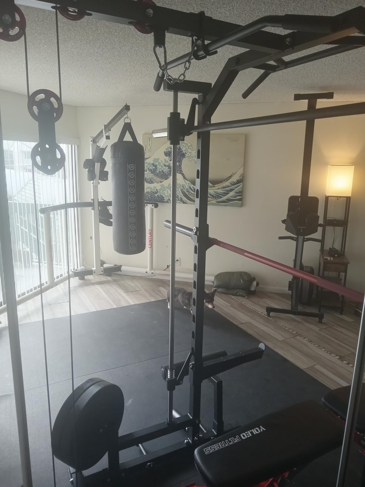 Mikolo Smith Machine Home Gym Power Cage (1:1 Ratio Strength Trainer) (Space Saving Design) (with 8 Free Attachments) Squat Rack for Full Body Training customer photo 2