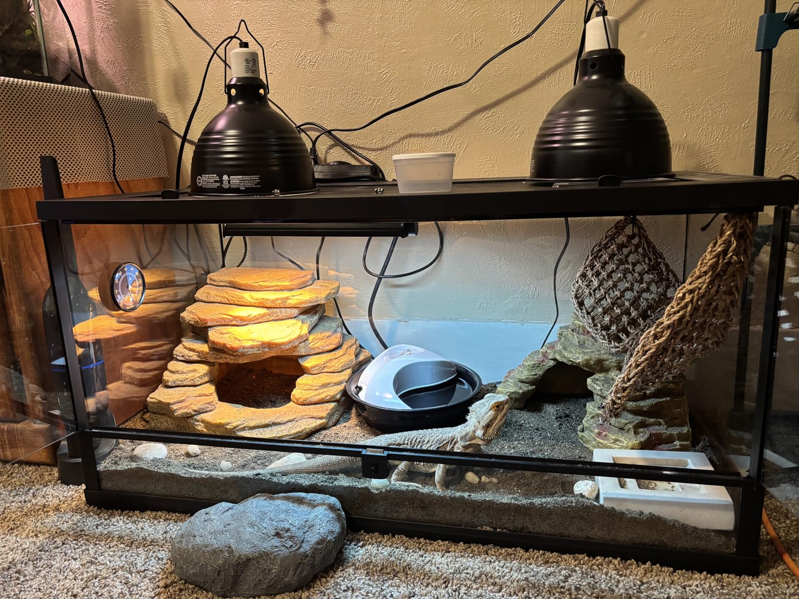 T5 UVB Reptile Light Fixture HO UVB Bulb Lighting Combo Kit, 10.0 UVB Light for Reptiles Terrarium Hood with 8W Reptile Light Bar UVA UVB Desert Lamp for Bearded Dragon Turtle Tank, 12 Inch customer photo 1