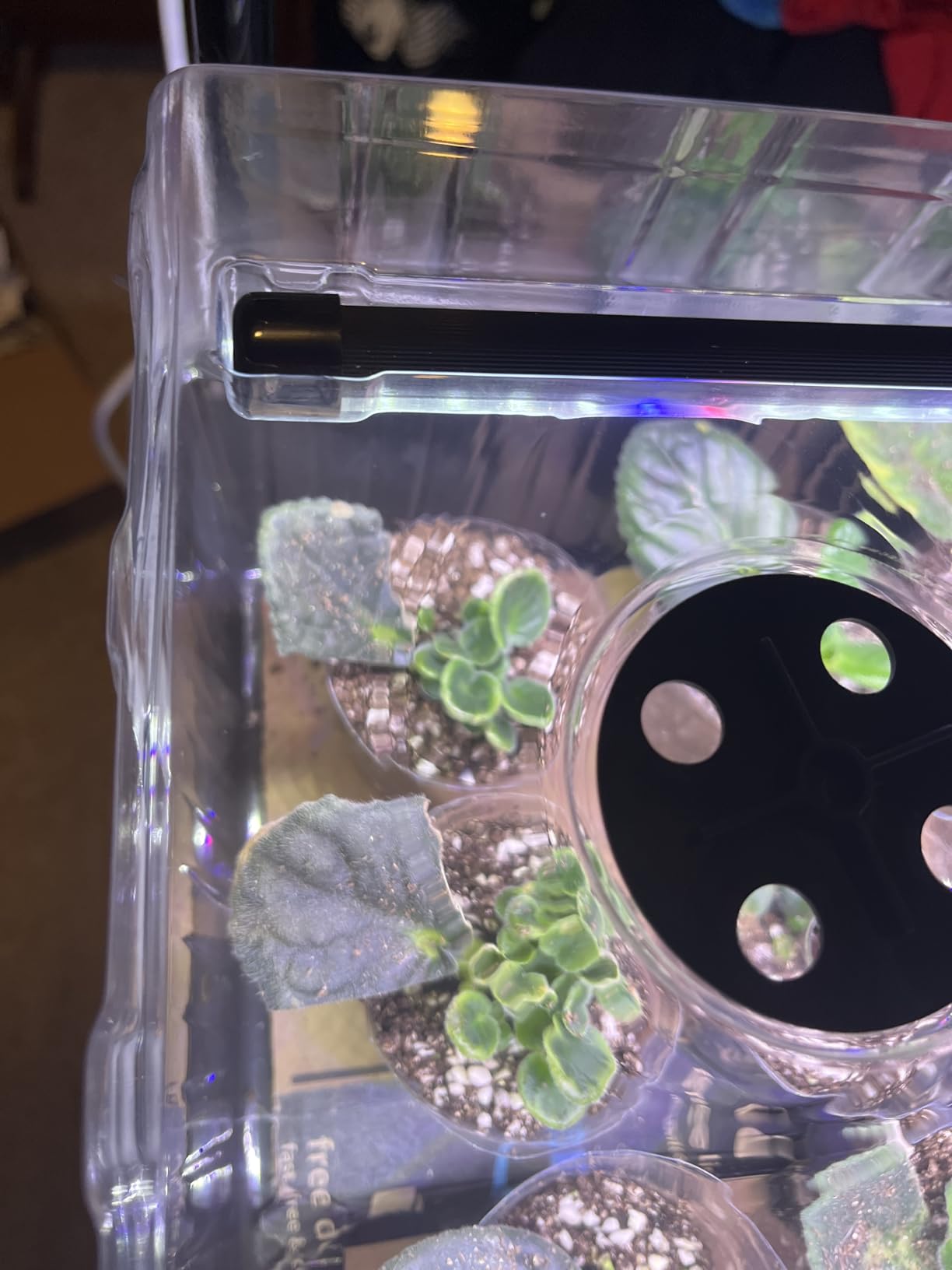 120-Cell Self-Watering Seed Starter Tray with Grow Light, Seed Starter Kit with 4.07