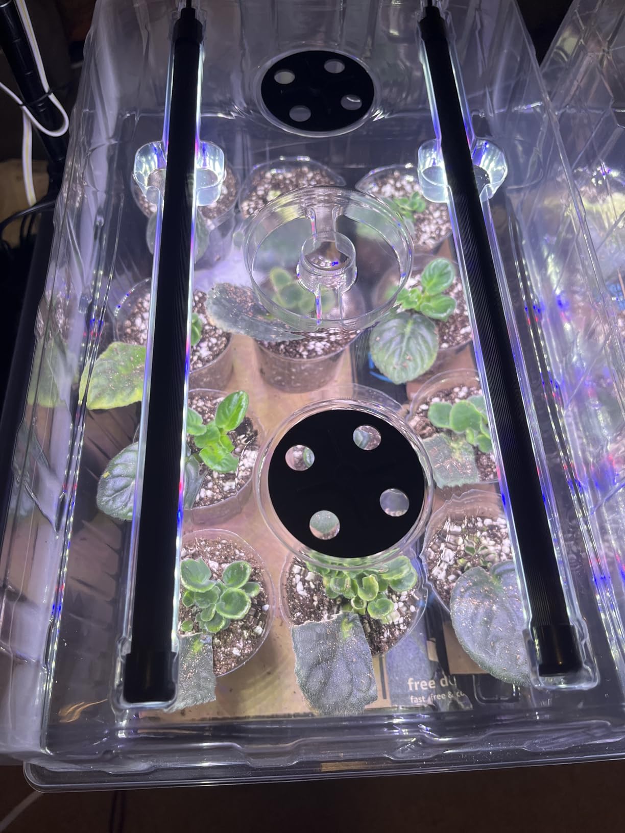 120-Cell Self-Watering Seed Starter Tray with Grow Light, Seed Starter Kit with 4.07