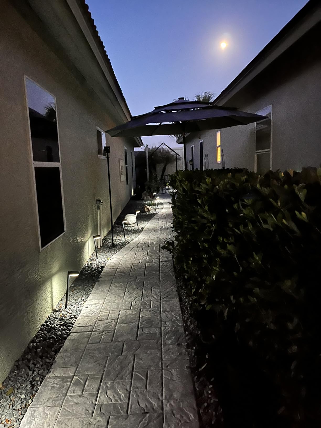 8 Pack Solar Pathway Lights Outdoor, 12 Brighter LED Solar Lights Outdoor Waterproof, Up to 12 Hrs Modern Path Light for Yard Garden Walkway Driveway Lawn (8 Pack) customer photo 1