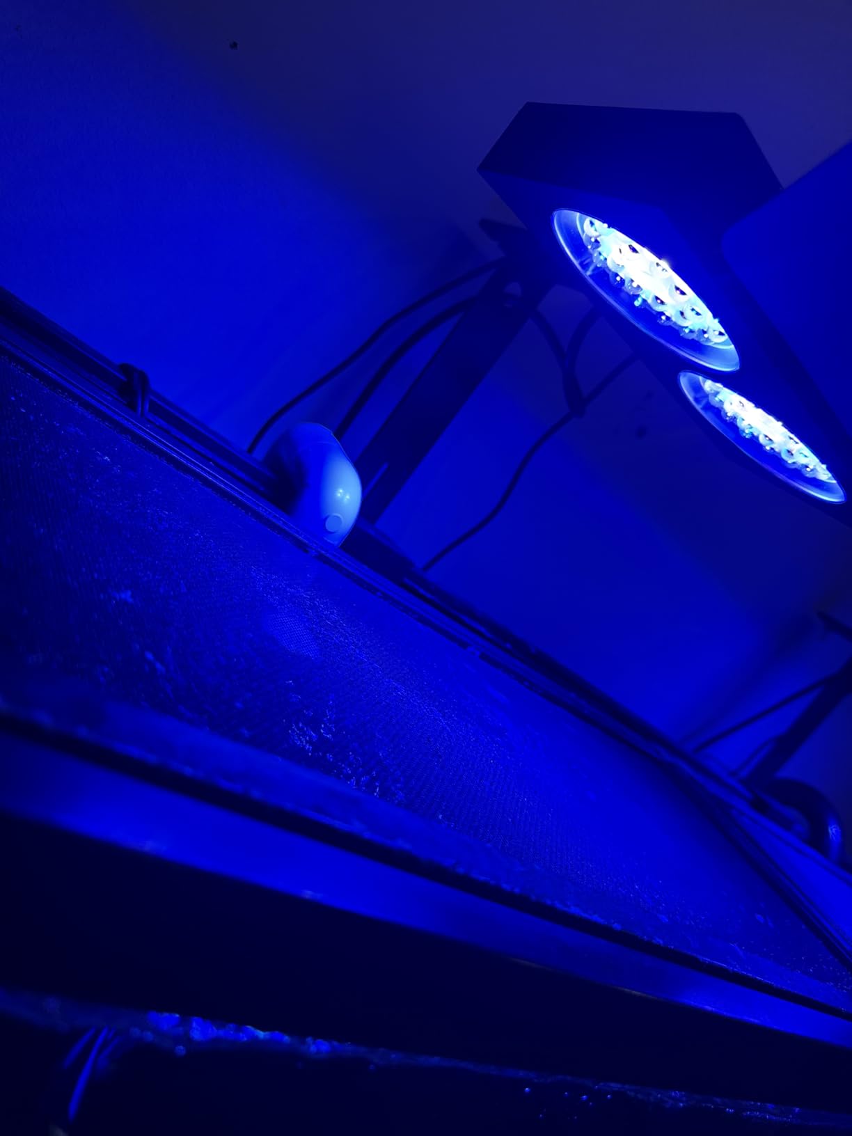 NICREW NavaReef 135 Reef LED Light, 135W Reef Aquarium Lighting for LPS/SPS Corals and Saltwater Fish Tanks customer photo 2