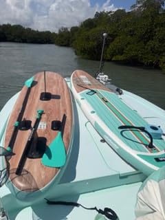 Hydrohero Electric Paddle Board Pump, Rechargeable 20PSI High Pressure SUP Pump, Intelligent Dual Stage Inflation & Deflation, Auto-Off for Stand Up Paddle Boards, Surfing Kite, Tent, Boat customer photo 1