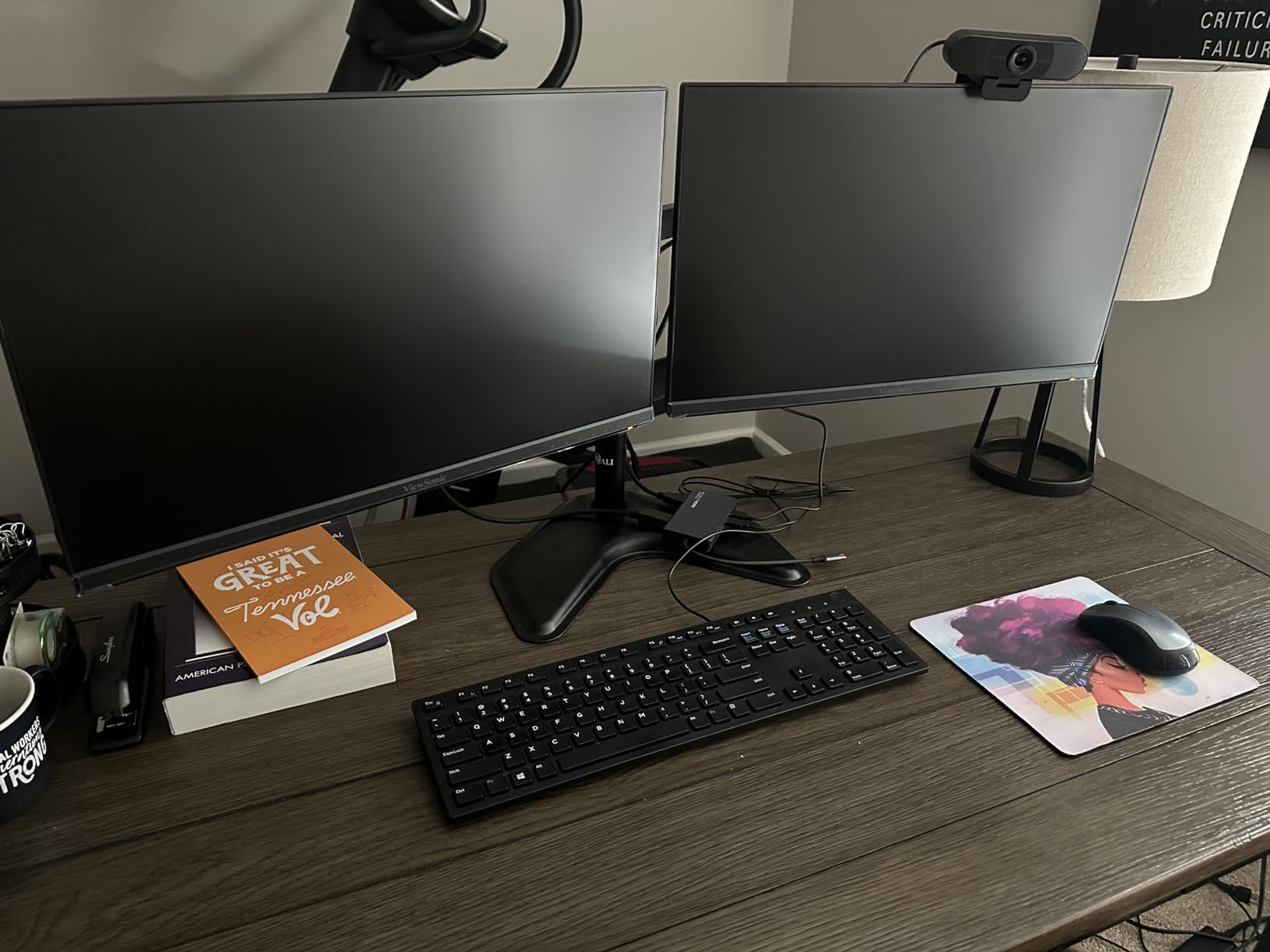 ViewSonic VA2456A-MHD_H2 Dual Monitor Pack Head-Only 1080p IPS Frameless Monitors with 120Hz, Eye Care, VESA Mountable, HDMI, DisplayPort and VGA Inputs for Home and Office customer photo 1