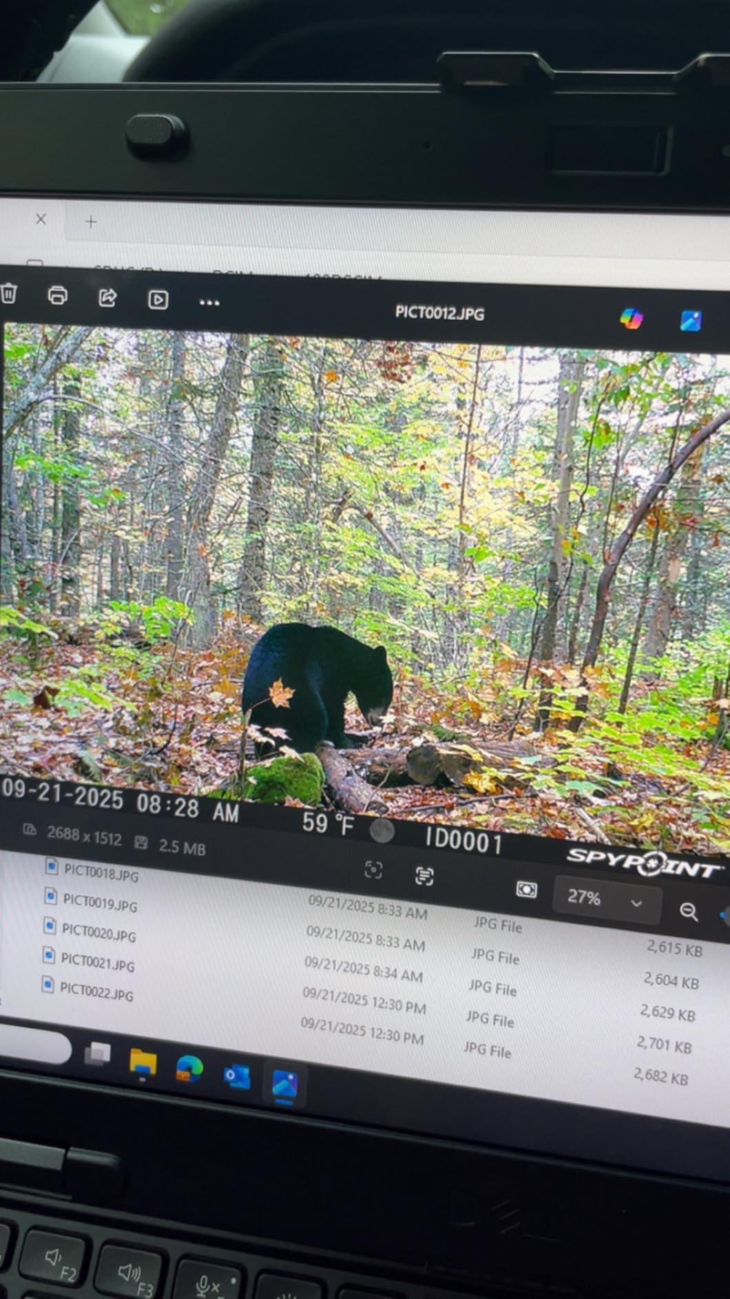 SPYPOINT FORCE-24 Non-Cellular Trail Camera, 2K Video, 24MP Photos, Low-Glow LEDs, Night Vision Game Camera, 70ft Motion Detection customer photo 1